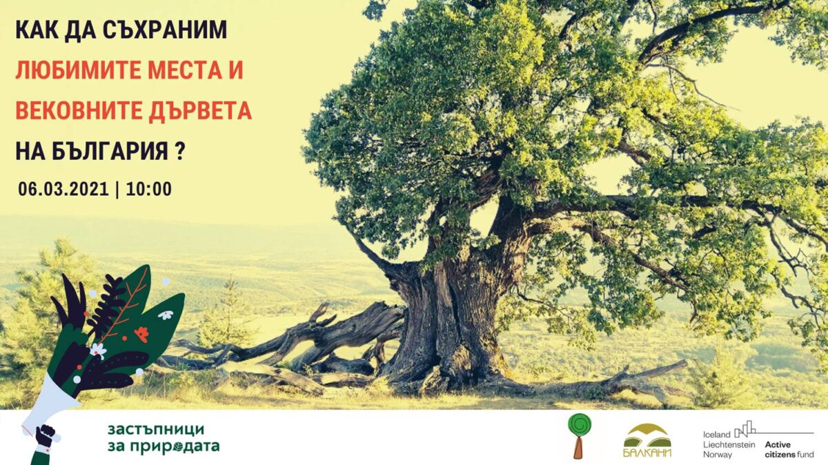 Обучение Как да съхраним любимите си места и вековните дървета на България?