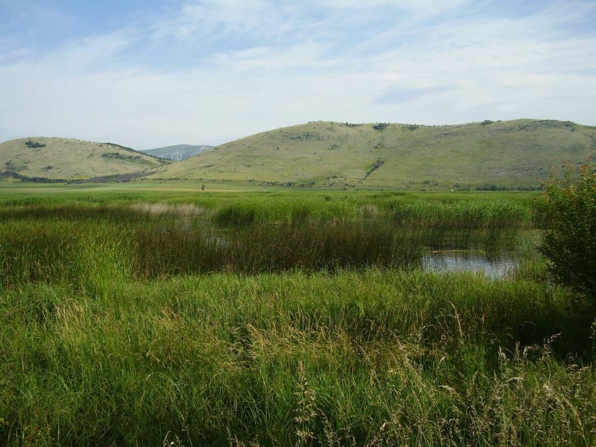 НАТУРА 2000 и опазване на биоразнообразието в България – проблеми и решения