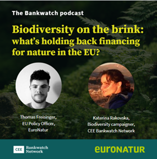 The BankWatch Podcast с епизод за финансиране на биоразнообразие в Европа с участие на Катерина Раковска
