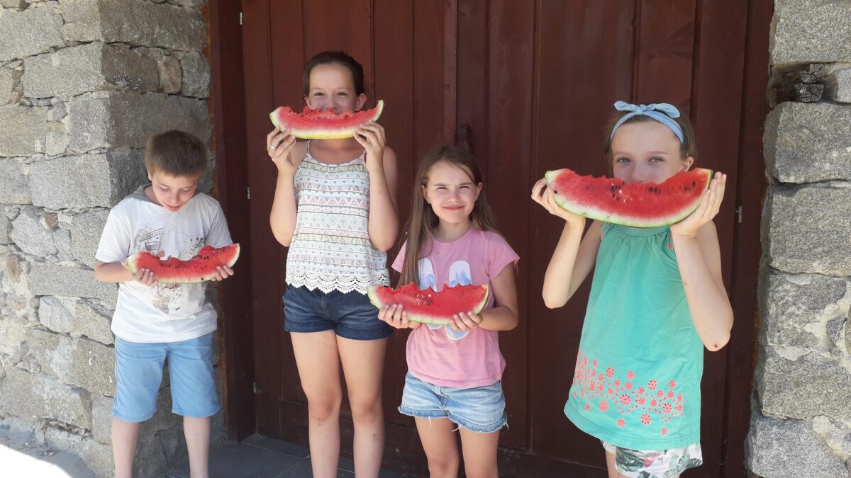 Записванията за летните детски лагери в с. Влахи са отворени