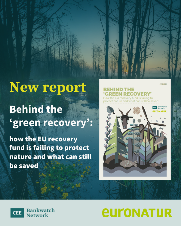 Плановете за възстановяване в страните от Централна и Източна Европа – потенциална заплаха за природата?